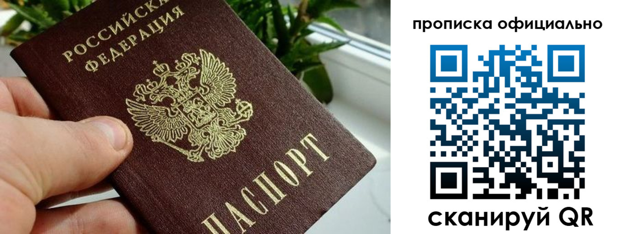 прописка поиск в Голицыно